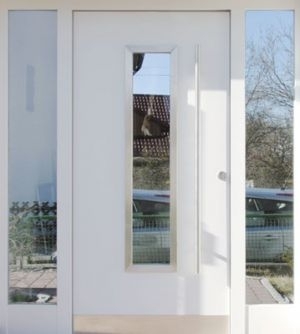 Haustüren Beispiel in Metzingen 1